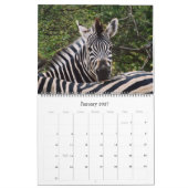 Enorme Größe von 2011 Tieren der Kalender (Jan 2027)