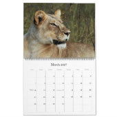 Enorme Größe von 2011 Tieren der Kalender (Mär 2027)