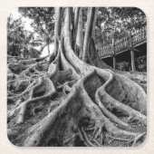 Enorme Gummibaumwurzeln Rechteckiger Pappuntersetzer (Vorderseite)