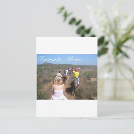 Ensenada, Mexiko Postkarte (Stehend Vorderseite)