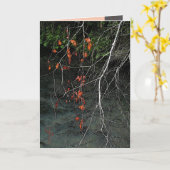 Entbeint n-Blut Karte (Gelbe Blume)