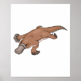 entbeinte Platypus Poster