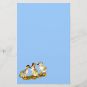 Entchen: Buff Orpingtons Briefpapier
