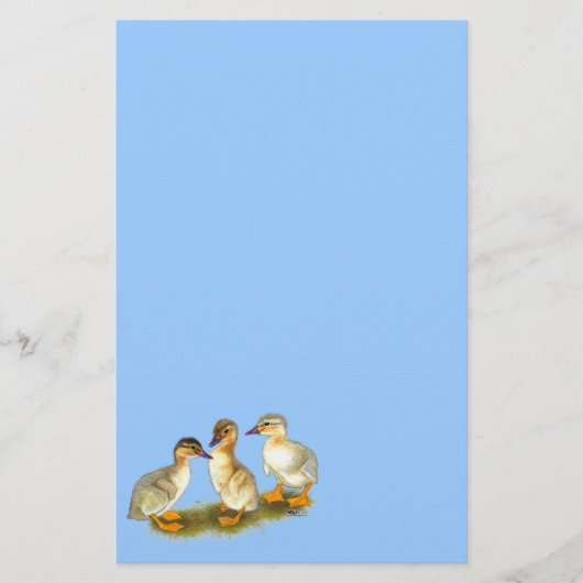 Entchen: Buff Orpingtons Briefpapier (Vorderseite)