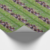 Entchen Kuschel Geschenkpapier (Ecke)