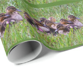 Entchen Kuschel Geschenkpapier (Rolleneckpunkt)