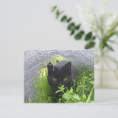 Entdecken Postkarte (Stehend Vorderseite)