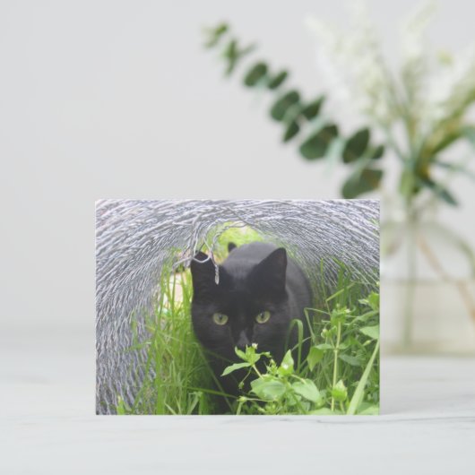 Entdecken Postkarte (Stehend Vorderseite)