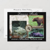 Entdecken Sie Alaska Postkarte (Vorne/Hinten)