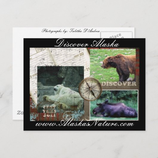 Entdecken Sie Alaska Postkarte (Vorne/Hinten)