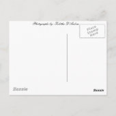 Entdecken Sie Alaska Postkarte (Rückseite)