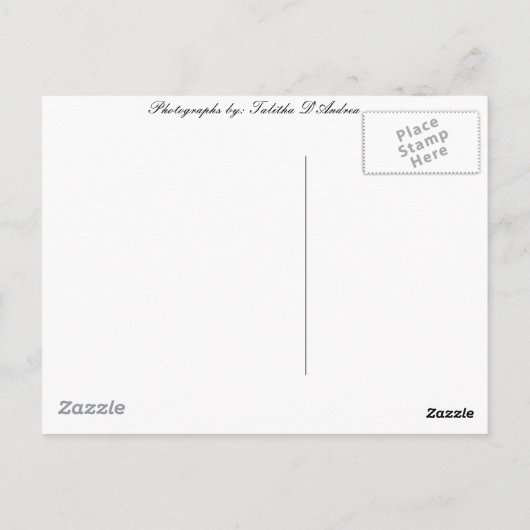 Entdecken Sie Alaska Postkarte (Rückseite)