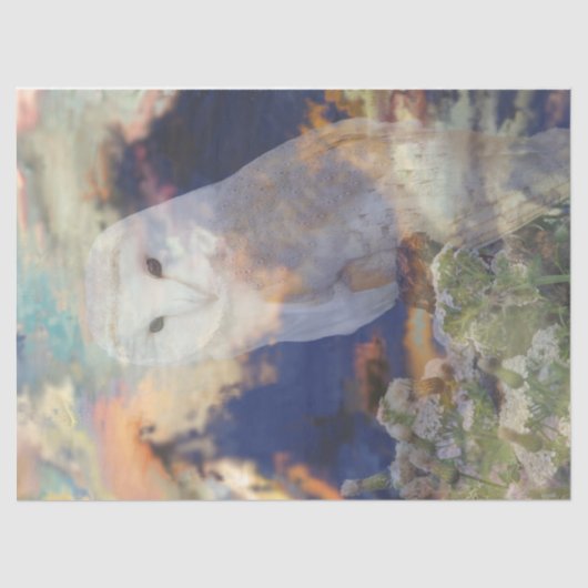 Entdecken Sie das entpackte Gewebe der Eule Breeze Seidenpapier (Vorderseite)