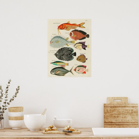 Entdecken Sie das farbenprächtige Leben der Meere. Poster (Küche)