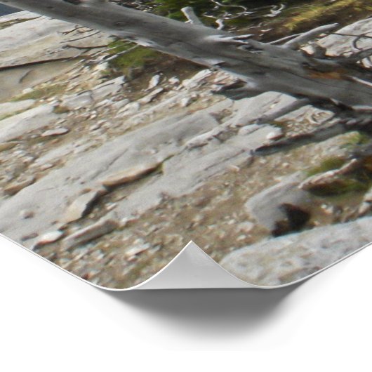 Entdecken Sie den Traum Entdecken Sie das Landscha Poster (Ecke)