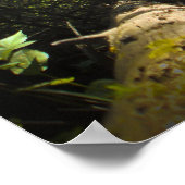 Entdecken Sie den Traum Wandern Poster (Ecke)