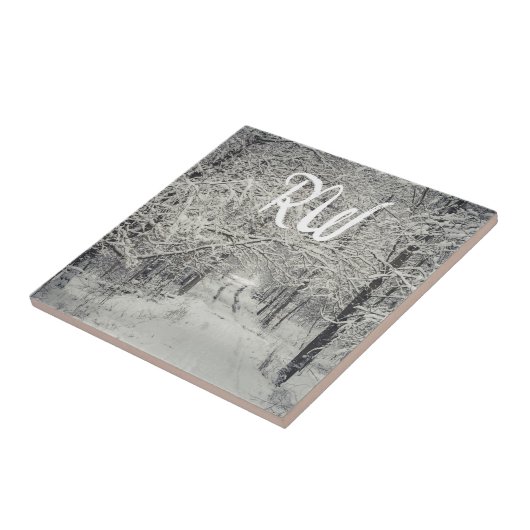 Entdecken Sie die Winterwaldwege Fliese (Seite)