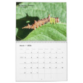 Entdecken Sie Ohio Outdoor Raupen Ohio Kalender (Mär 2026)