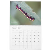 Entdecken Sie Ohio Outdoor Raupen Ohio Kalender (Feb 2027)