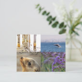Entdecken Sie San Diego Postkarte (Stehend Vorderseite)