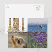 Entdecken Sie San Diego Postkarte (Vorne/Hinten)