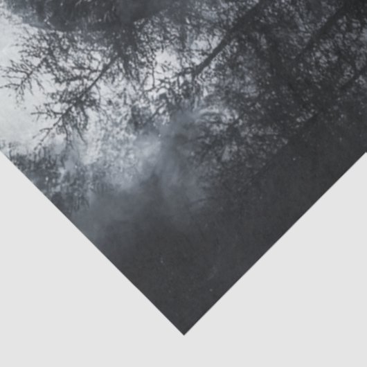 Entdeckter Bär Vollmond Hintergrund Fusion Art Seidenpapier (Ausschnitt)