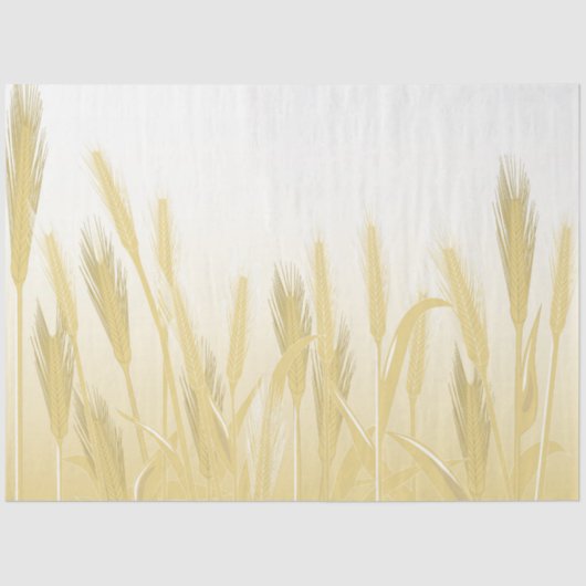 Entdeckungsreise Seidenpapier (Vorderseite)