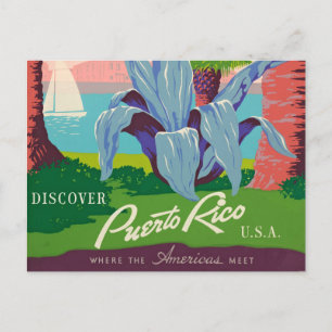 Entdeckungsreise zur Alp Piora und ihrem Rohschink Postkarte