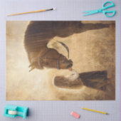 Entdeckungsross und Mädchen im Feld Seidenpapier (Basteln)