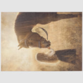 Entdeckungsross und Mädchen im Feld Seidenpapier (Vorderseite)