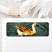 Ente (Insitu)