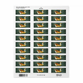 Ente (Vorne)