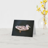 Ente 907b karte (Gelbe Blume)