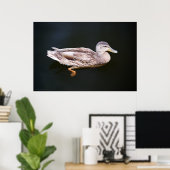 Ente 907b poster (Heimbüro)