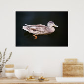 Ente 907b poster (Küche)