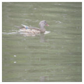 Ente am Gemusterten Tiersee Stoff (Nahaufnahme)