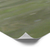 Ente am Lago Print Poster (Ecke)