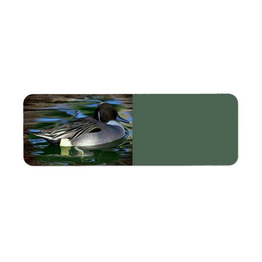 Ente am See (Vorne)