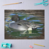 Ente am See Seidenpapier (Basteln)