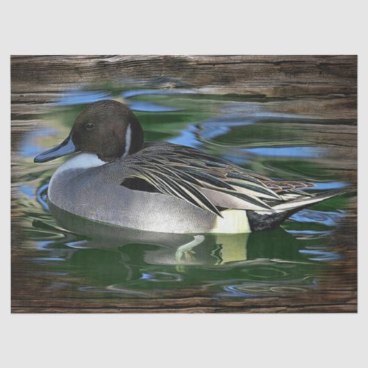 Ente am See Seidenpapier (Vorderseite)