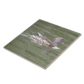 Ente am Tilersee Fliese (Seite)