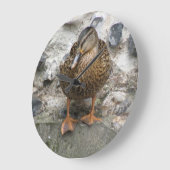 Ente an der Wall-Uhr Große Wanduhr (Winkel)