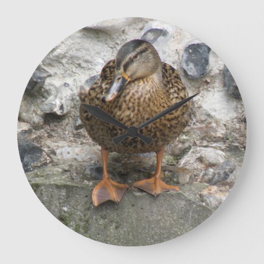 Ente an der Wall-Uhr Große Wanduhr (Vorderseite)