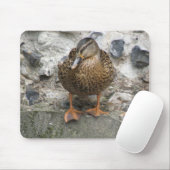 Ente an der Wand Mousepad (Mit Mouse)
