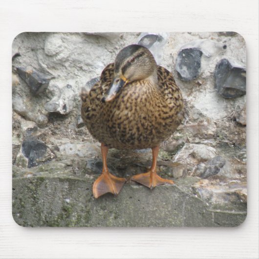 Ente an der Wand Mousepad (Vorne)