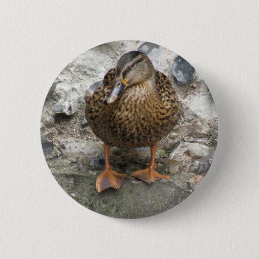 Ente an einem Wandknopf Button (Vorderseite)