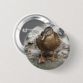 Ente an einem Wandknopf Button (Vorne & Hinten)