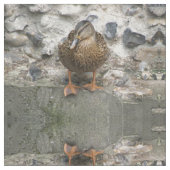Ente an einer Wand Gemustertes Tiergewebe Stoff (Nahaufnahme)