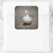 Ente anrufen quadratischer aufkleber (Tasche)