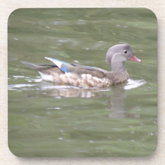 Ente auf dem Untersetzer Lake Cork (Vorderseite)